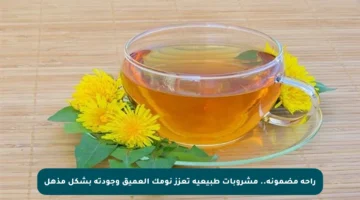 راحة مضمونة.. مشروبات طبيعية تعزز نومك العميق وجودته بشكل مذهل